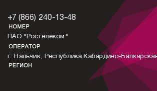 8662401348